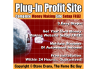 Make 900$ a day with Digital Marketing!